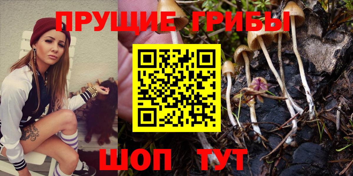 Галлюциногенные грибы прущие грибы  Вход с VPN  Волжский  Псилоцибиновые грибы Psilocybe 