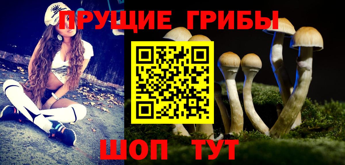 Псилоцибиновые грибы GOLDEN TEACHER Волжский